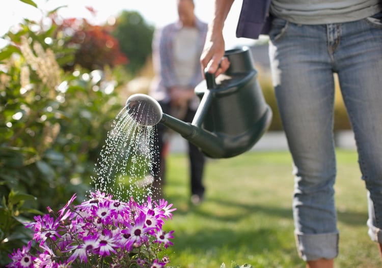 A woman is using the rainwater she harvested to water the flowers in her garden. 