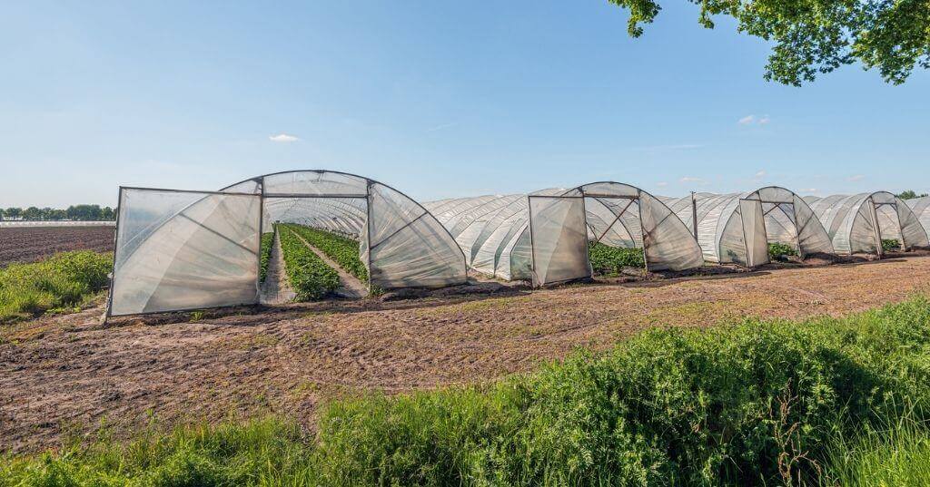 Enduramaxx-Commercial-Greenhouse-Rainwater-Harvesting-Systems-for-Irrigation-3