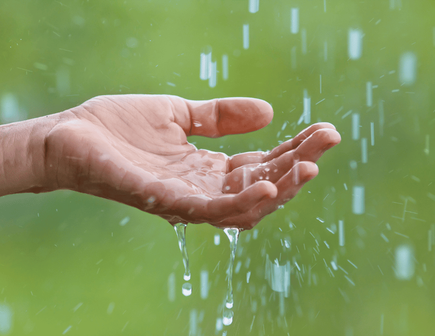 A human hand that is stretched out and harvesting rainwater in its palm. 