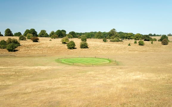 A dry looking golf course showing the effects of not navigating water sustainability for their environmental footprint.